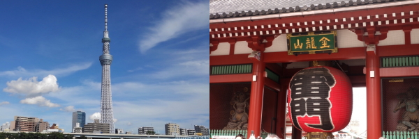 観光地